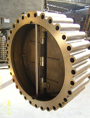 Dual Plate Check Valve